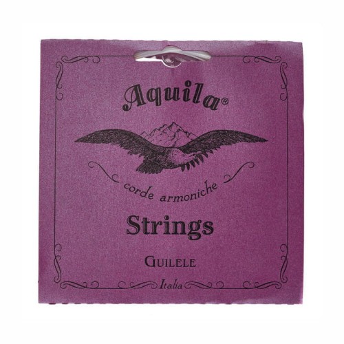 pol_pl_Struny-do-guitalele-Aquila-Nylgut-A-tuning-96C-203134_1.jpg
