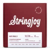 Stringjoy NB1038 struny do mandoliny NATURALS Phosphor Bronze 10-38