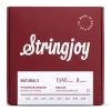 Stringjoy NB1140 struny do mandoliny NATURALS Phosphor Bronze 11-40