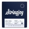 Stringjoy ARTAP struny do gitary elektrycznej SIGNATURES 14-62 Ariel Posen Artist Series