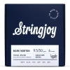 Stringjoy ARTMM struny do gitary elektrycznej SIGNATURES 9.5-50 Mark Morton Artist Series