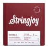 Stringjoy NB1256 struny do gitary akustycznej NATURALS Phosphor Bronze 12-56